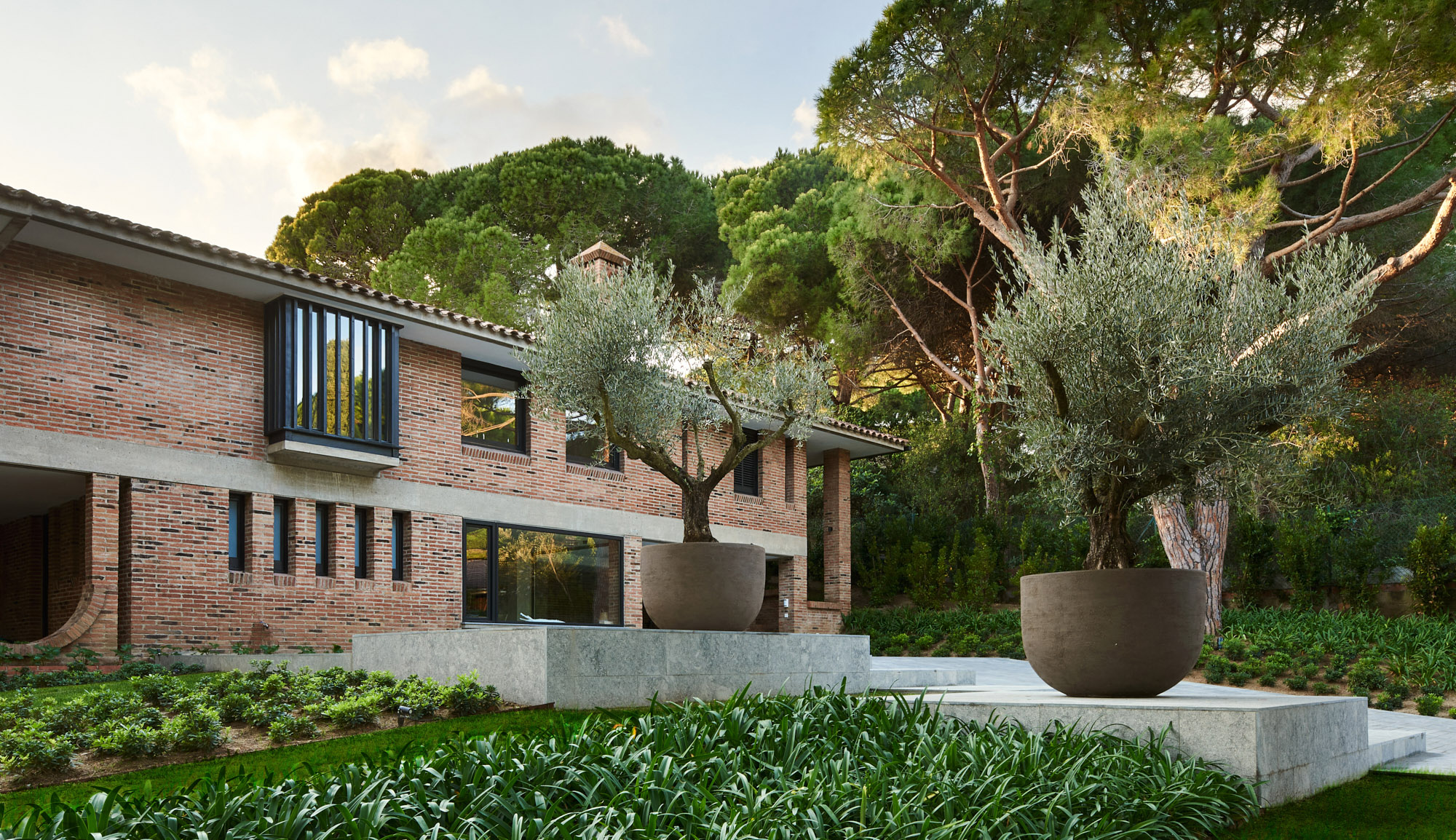 olive trees in front of a mid-century modern brick villa